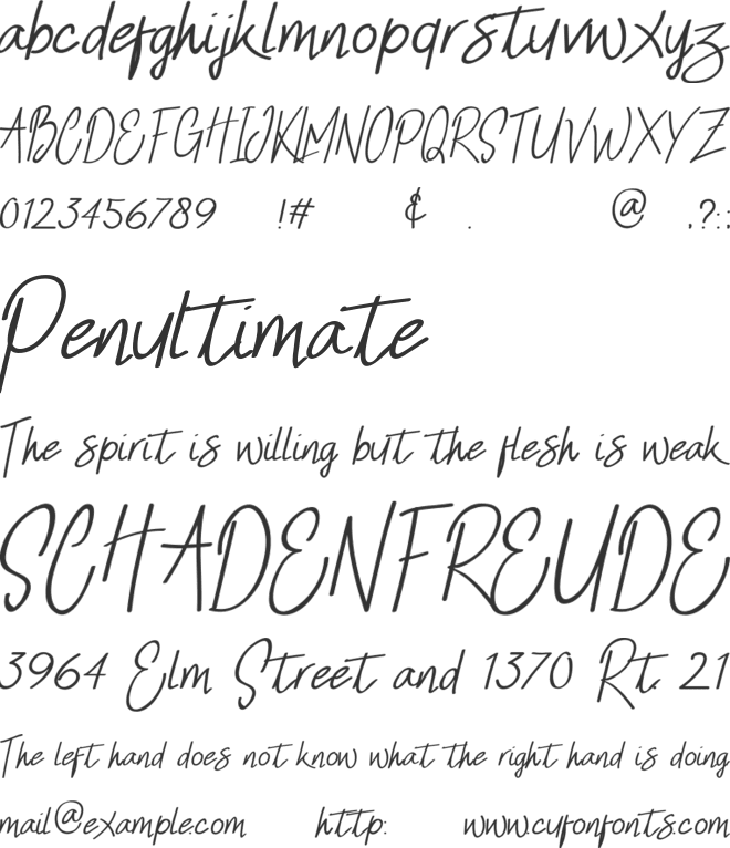Pink Dominique Cursive Elegant Signature font preview
