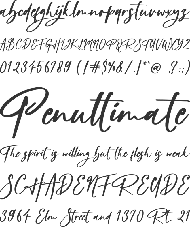 Rollingdoor font preview