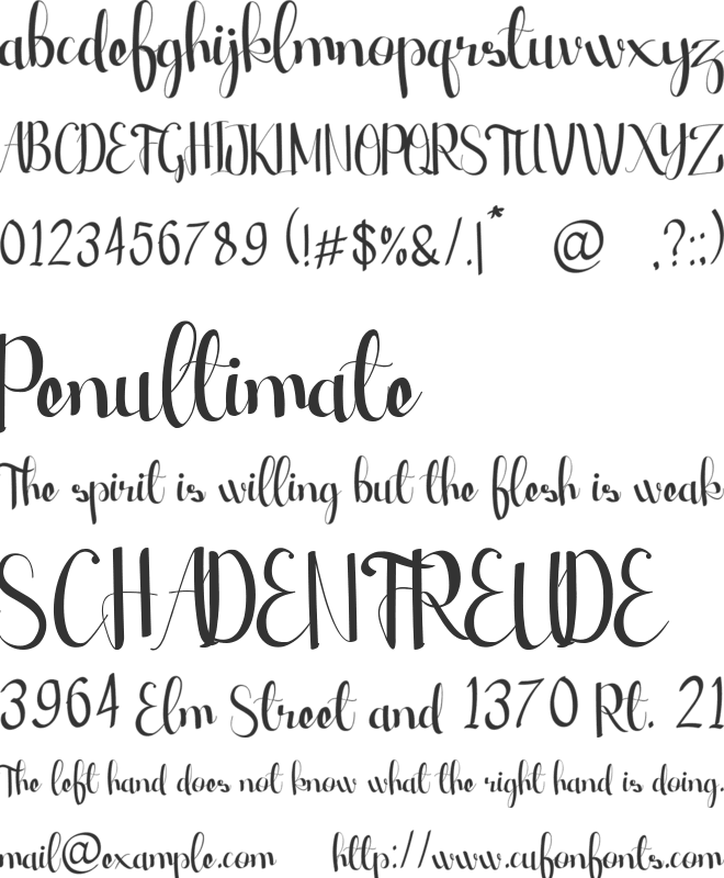 Beach Front Romantic Feminine Fashion font preview