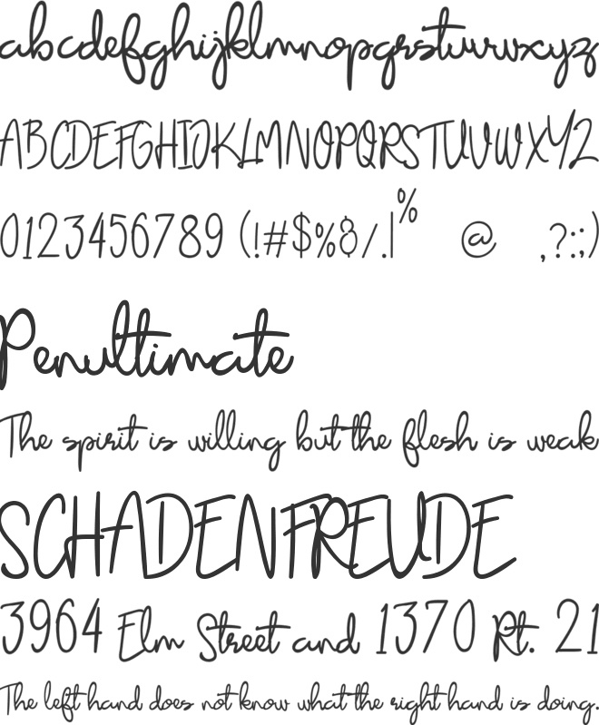 Elsa Sayonara Luxury Logotype font preview