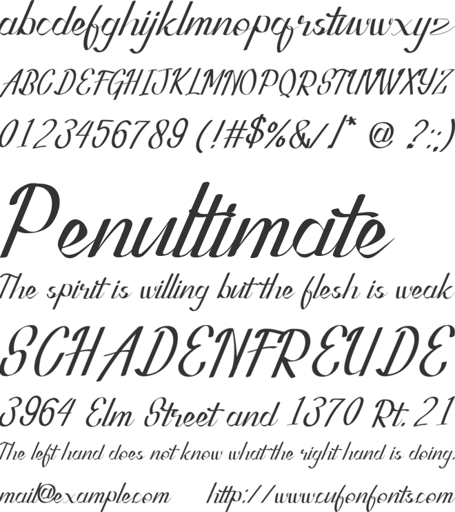 Quinn Marriott Elegant Stylish Cursive font preview