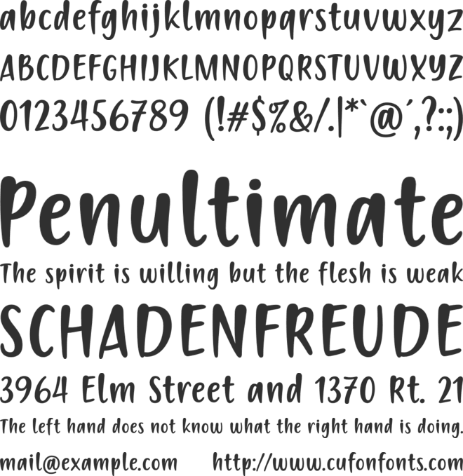 Passion to Action font preview