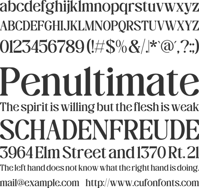 The Daily Midtones font preview