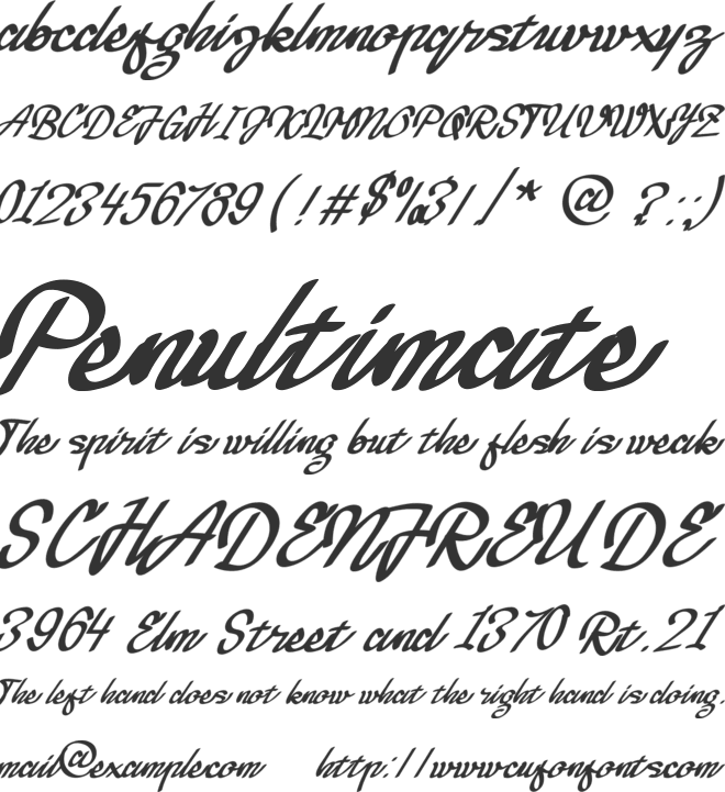 Black Fold Handlettering Artistic Wedding font preview