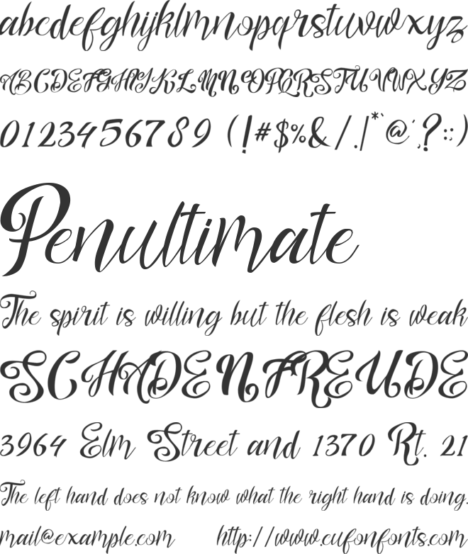 nalicha font preview