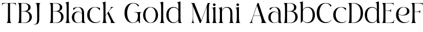 TBJ Black Gold Mini font download