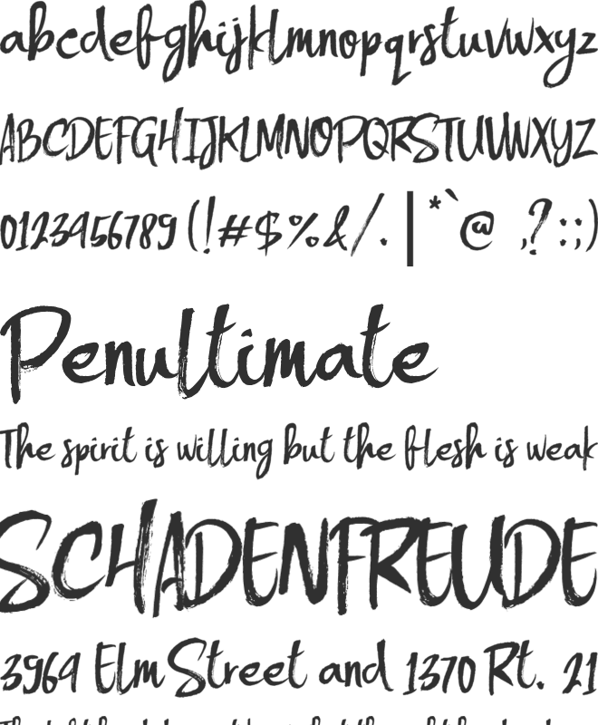 Handsome font preview