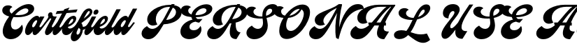 Cartefield PERSONAL USE font download