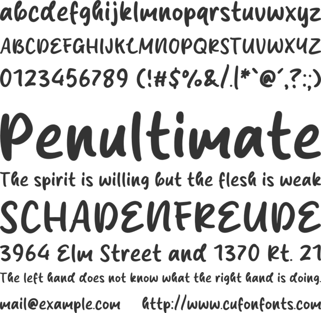 Believe Script font preview