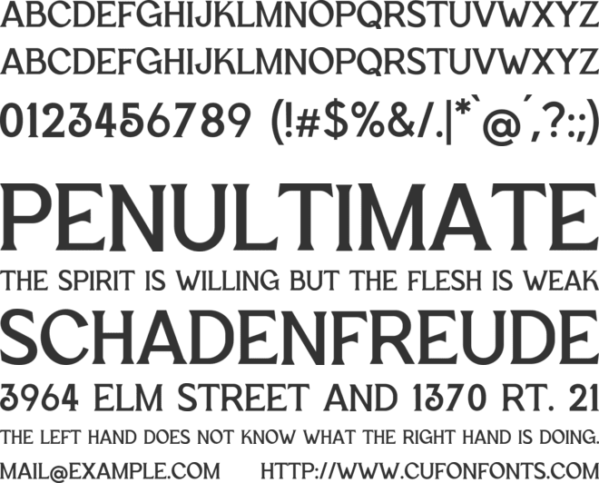 Retro Groove Vintage Serif Display font preview