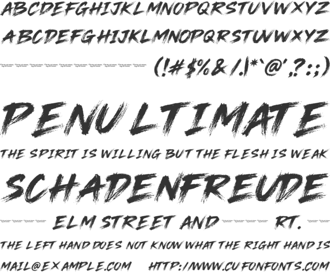 Nelyx Brush font preview