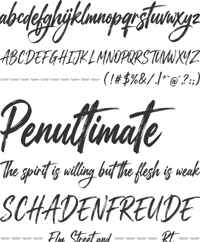 Natiques font preview