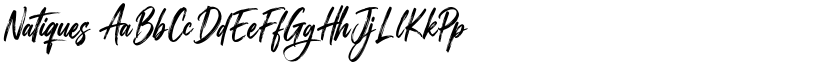 Natiques font download