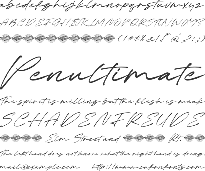 Brooks Kellany font preview