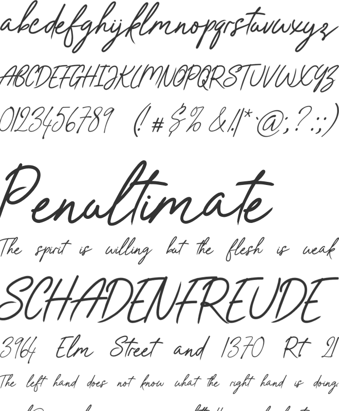 Sweet Romantic Roses Beautiful Feminine font preview