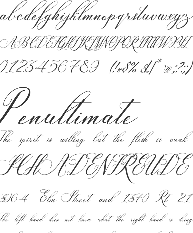 Katherina Marceline Fancy Cursive Signature Calligraphy font preview