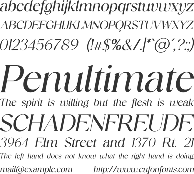 Elegance Prime Creative Stylish font preview