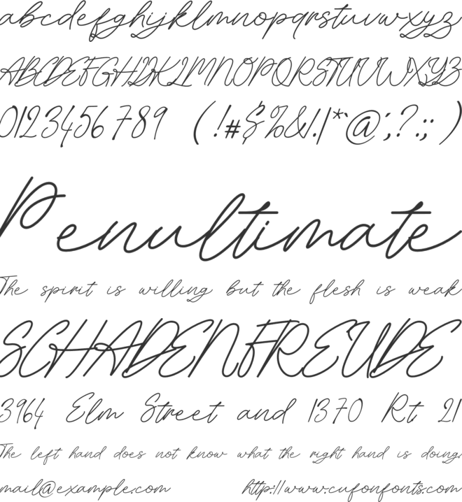 Richmond Woodhaven Fancy Calligraphy Design font preview