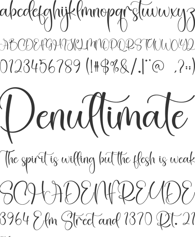 Squishy font preview