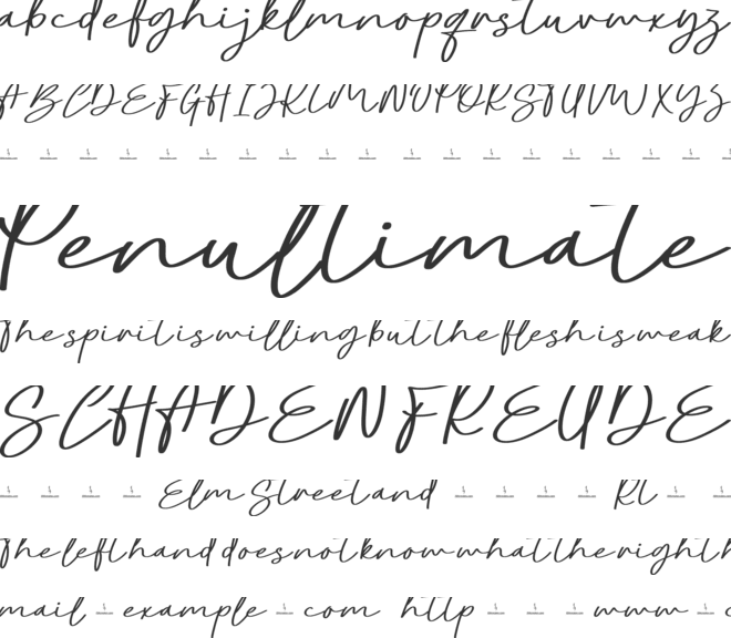 Birthday Wishes font preview