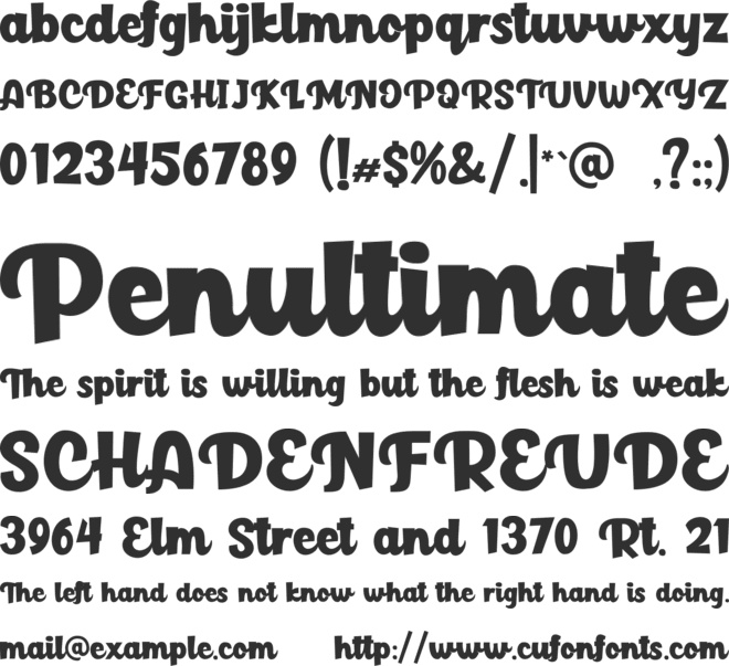 Paladise Script font preview