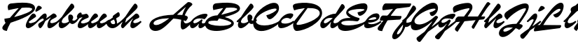 Pinbrush font download