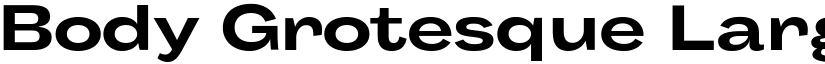Body Grotesque Large Trial Bold font