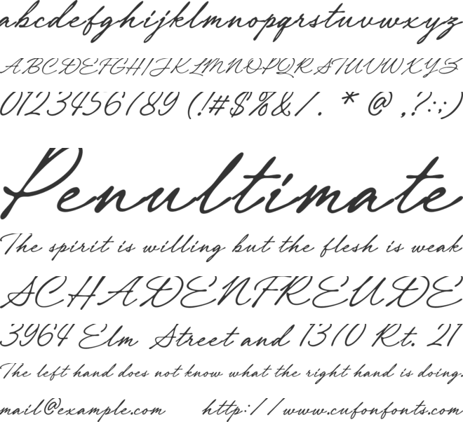 Royal Maison font preview