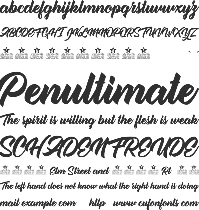 Single Case Personal Use font preview
