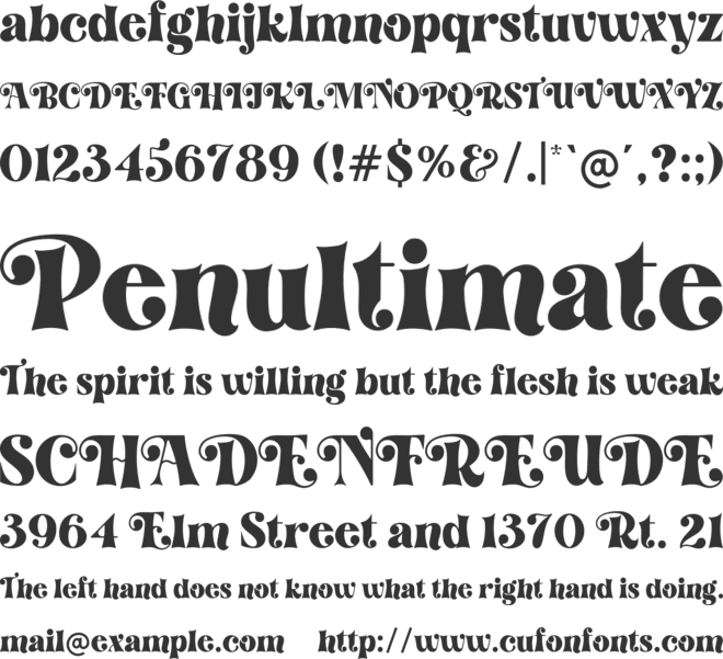 Retro Dingo font preview