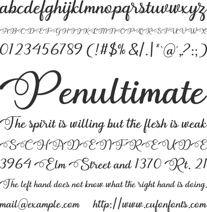 Dhitha font preview