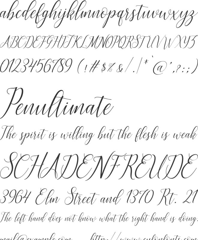 brillyo font preview