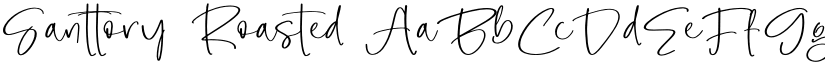 Santtory Roasted font download