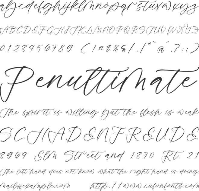 Daylight Beauty font preview