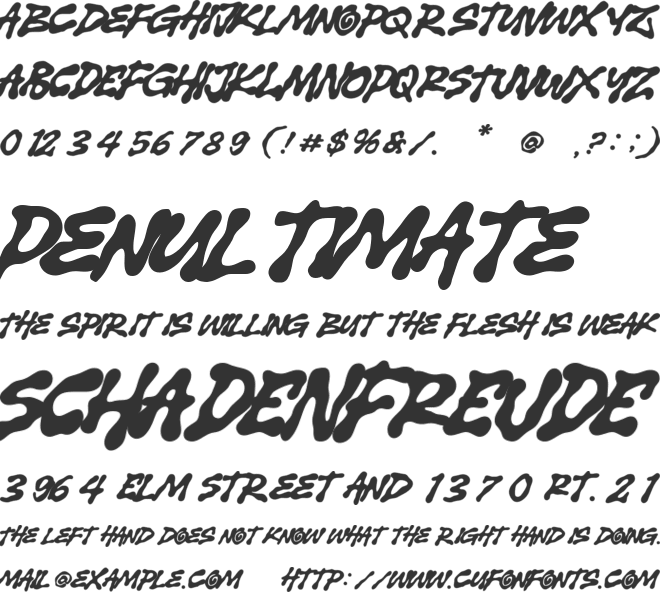 Signer font preview