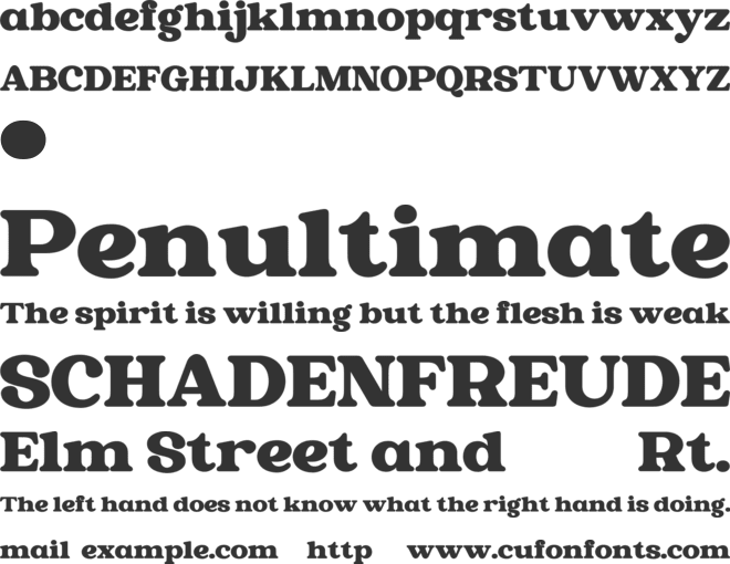 NEWSFORD font preview