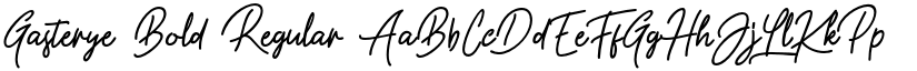 Gasterye Bold Regular font