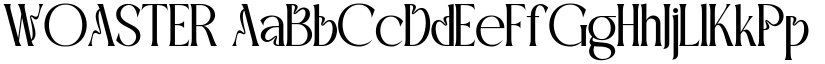 WOASTER font