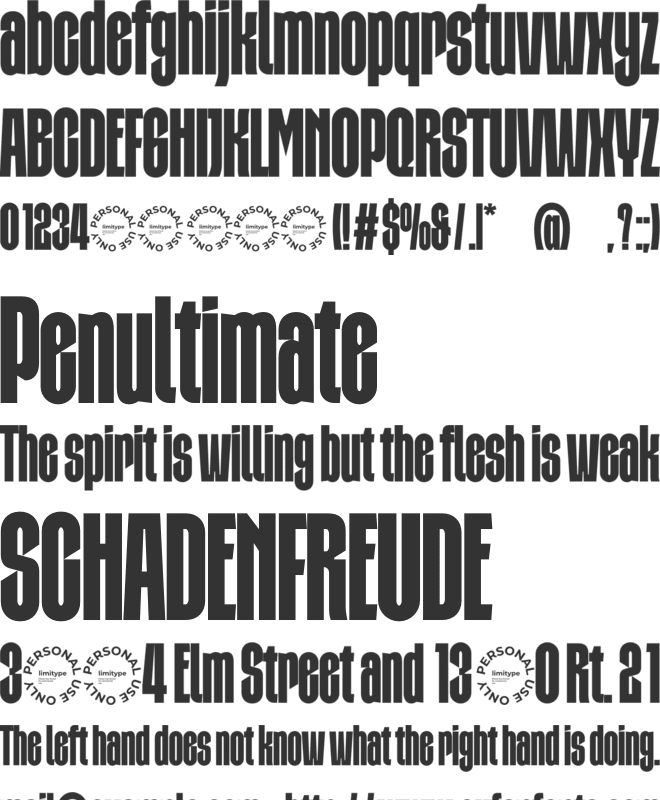 Daltown Bold Condensed Font font preview