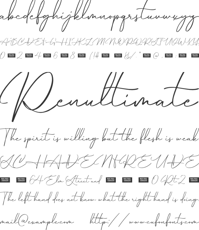 Hamburg Signature font preview