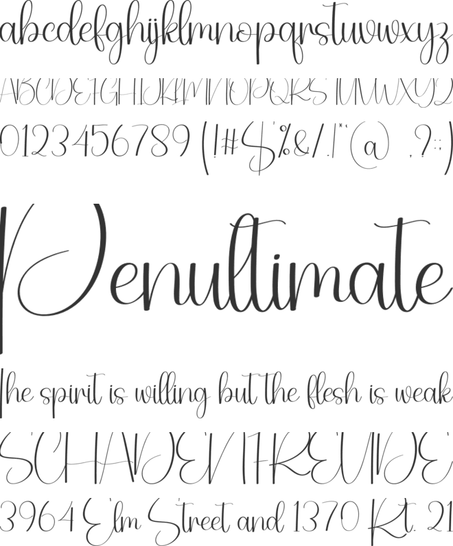 Freeday font preview
