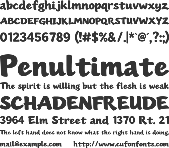 Bigfooz Personal Use Only font preview