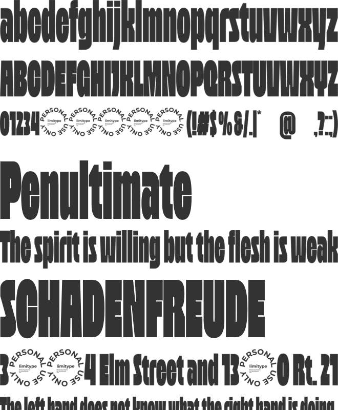 Revoid Bold Condensed Font font preview