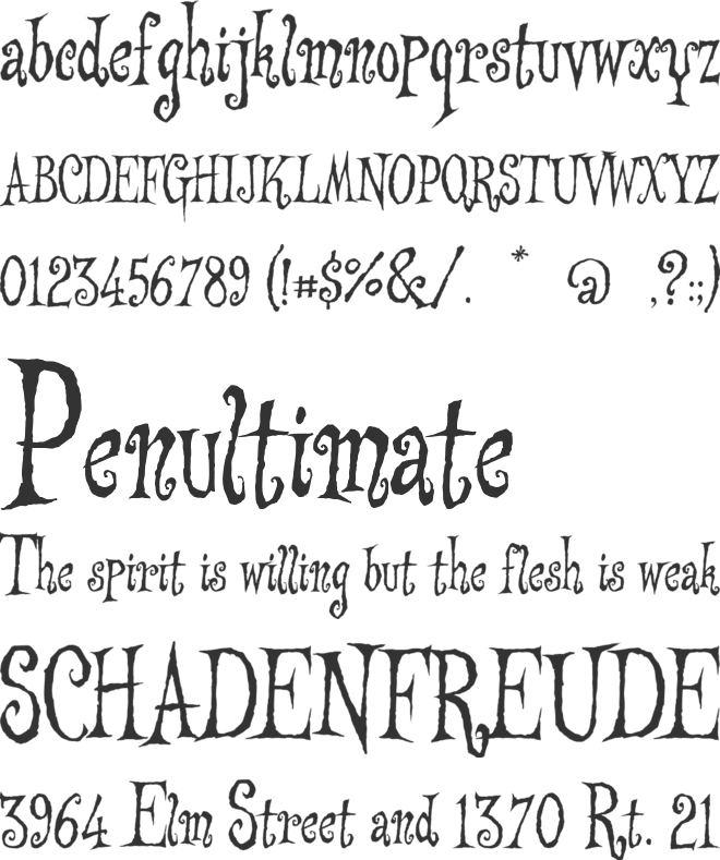 Searle font preview