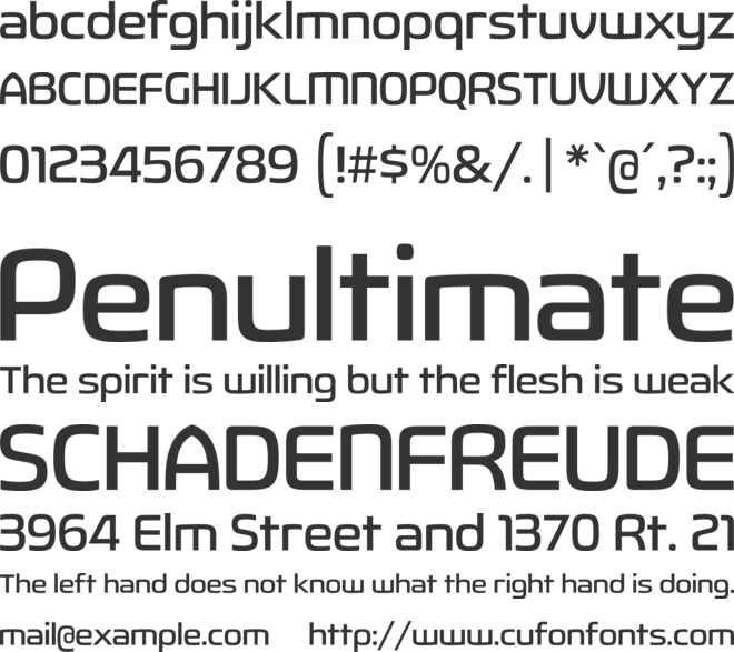 Fluctuation font preview