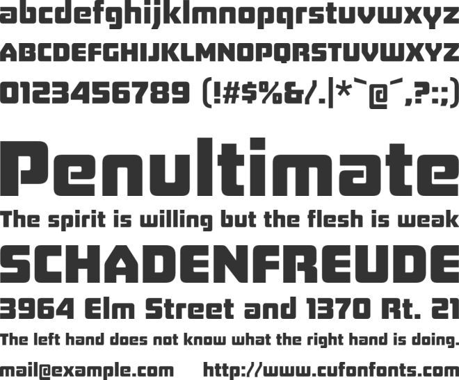 Board of Directors font preview