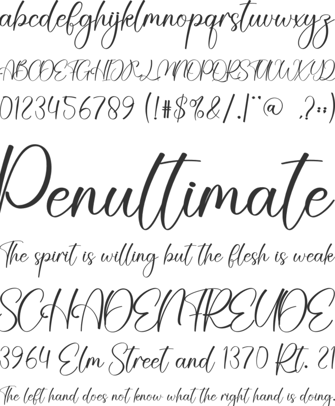 Kayla font preview