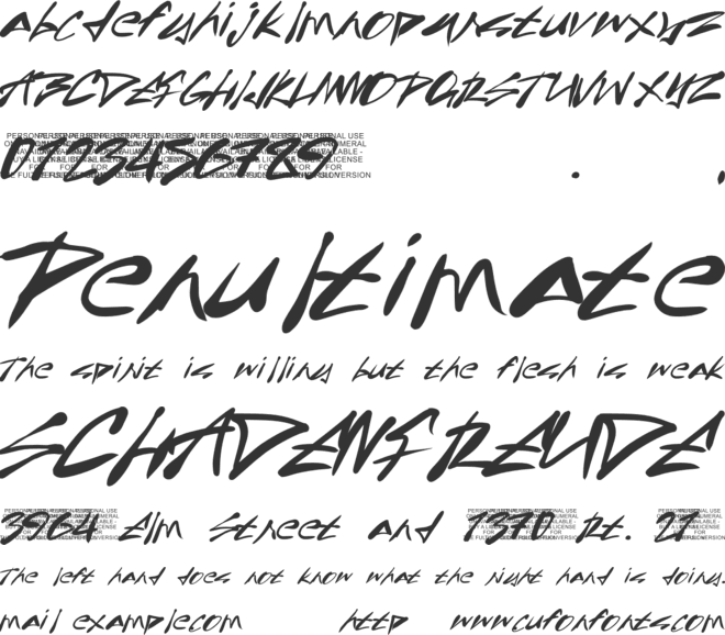 Back Alle font preview