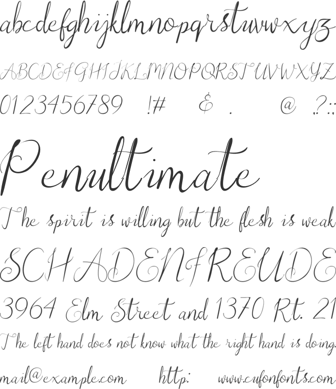 Christopher Lynn Calligraphy Logo font preview