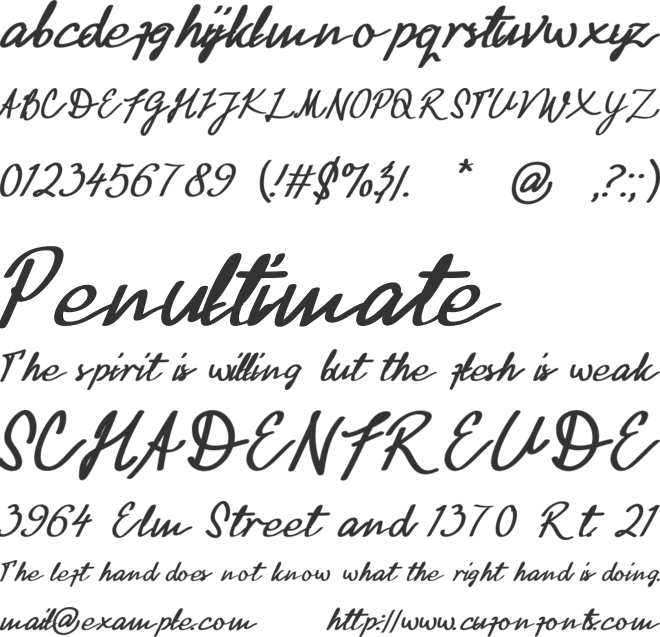 Black Wiliam Stylish Lettering font preview